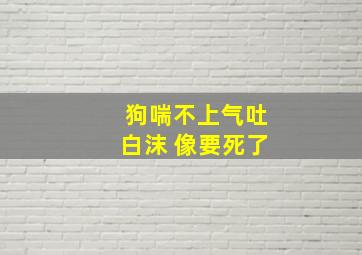 狗喘不上气吐白沫 像要死了